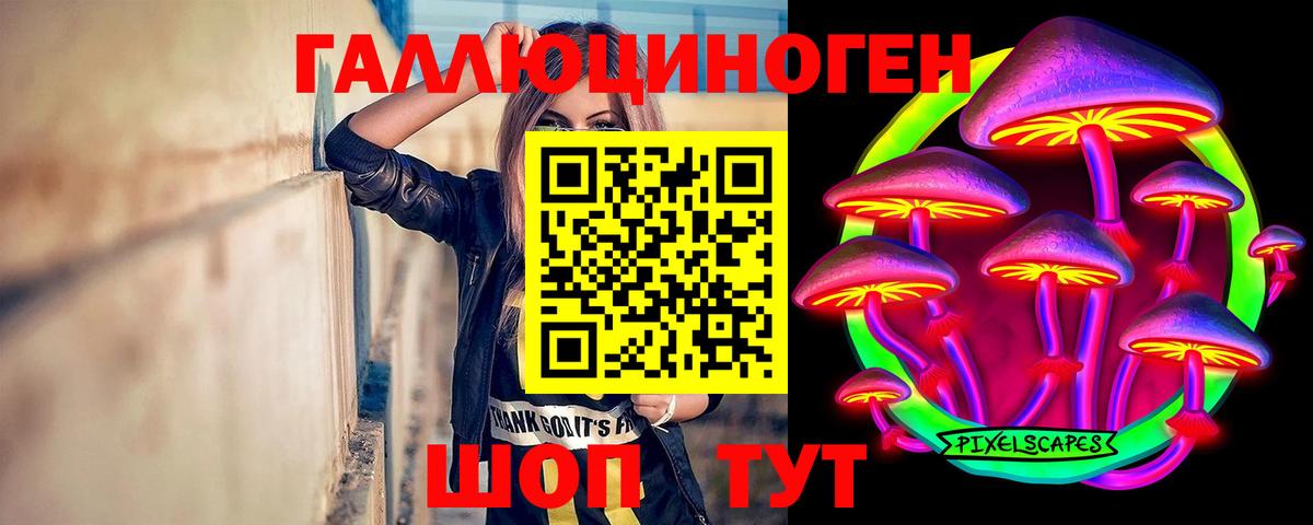 Галлюциногенные грибы Cubensis  Вход с VPN  Волгоград 